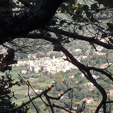 A L'Oree Des Oliviers Venterol  Εξωτερικό φωτογραφία